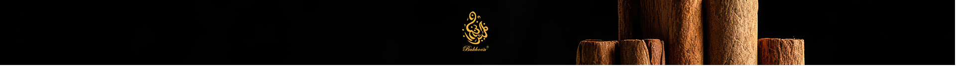 Techboren Logo